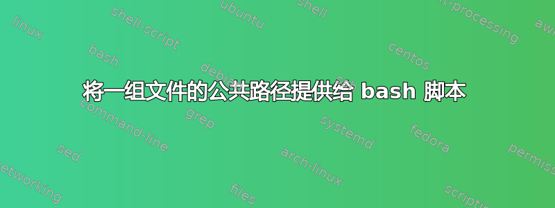 将一组文件的公共路径提供给 bash 脚本