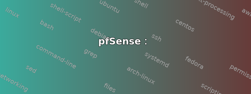 pfSense：