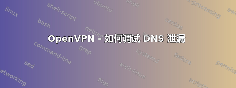 OpenVPN - 如何调试 DNS 泄漏