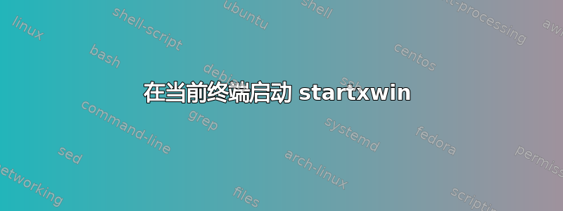 在当前终端启动 startxwin