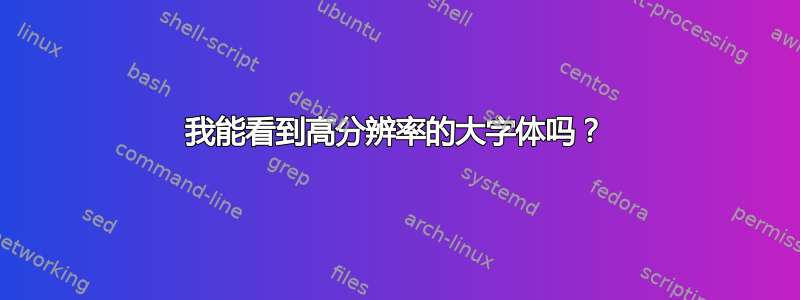 我能看到高分辨率的大字体吗？