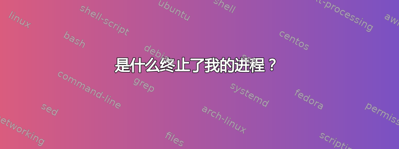 是什么终止了我的进程？