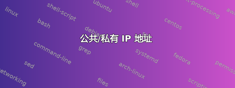 公共/私有 IP 地址