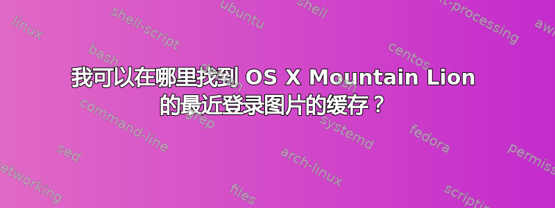 我可以在哪里找到 OS X Mountain Lion 的最近登录图片的缓存？