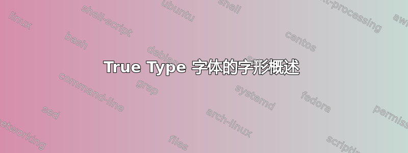 True Type 字体的字形概述