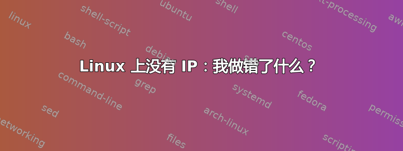 Linux 上没有 IP：我做错了什么？