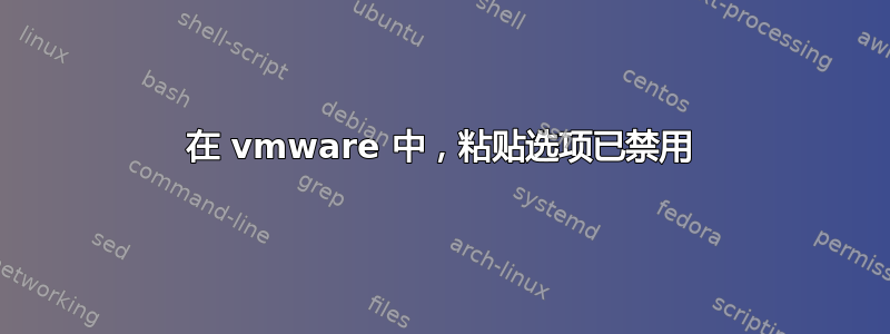 在 vmware 中，粘贴选项已禁用