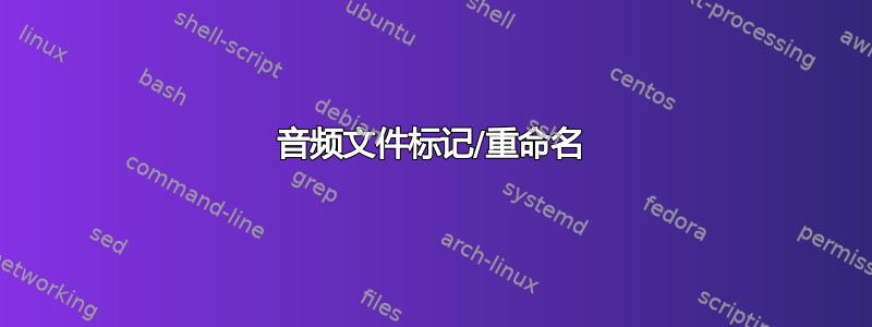 音频文件标记/重命名