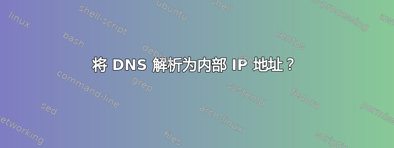 将 DNS 解析为内部 IP 地址？