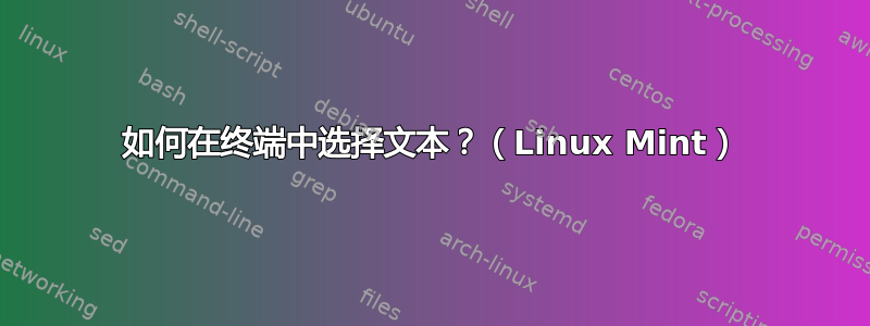 如何在终端中选择文本？（Linux Mint）