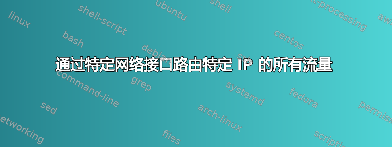 通过特定网络接口路由特定 IP 的所有流量