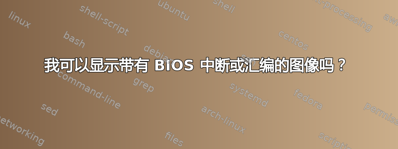 我可以显示带有 BIOS 中断或汇编的图像吗？