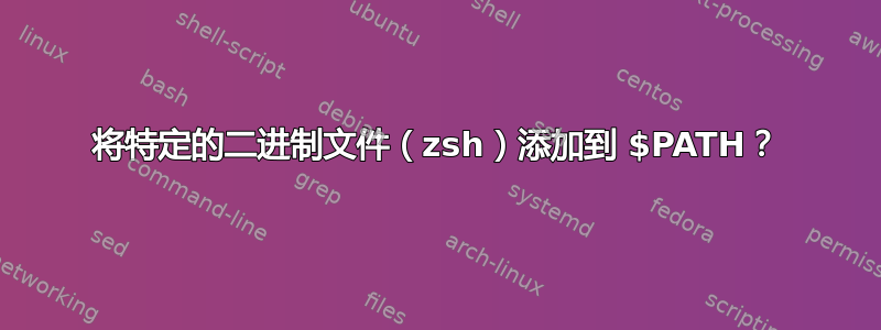 将特定的二进制文件（zsh）添加到 $PATH？