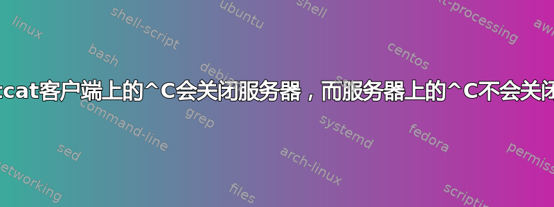 为什么netcat客户端上的^C会关闭服务器，而服务器上的^C不会关闭客户端？