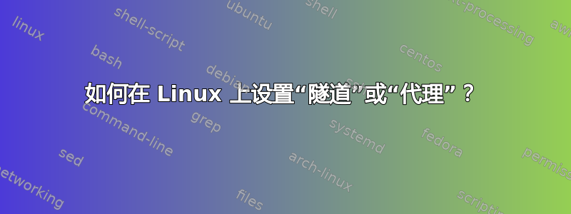 如何在 Linux 上设置“隧道”或“代理”？