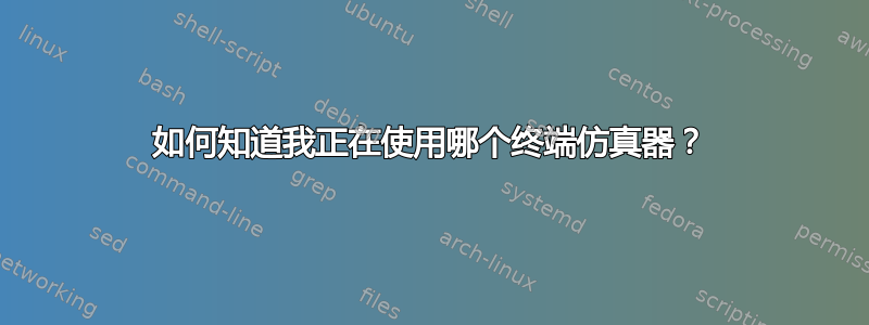 如何知道我正在使用哪个终端仿真器？