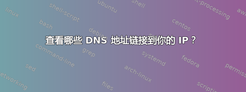 查看哪些 DNS 地址链接到你的 IP？