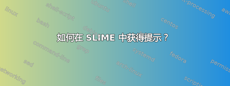 如何在 SLIME 中获得提示？