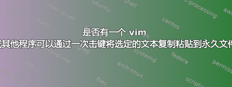 是否有一个 vim 插件或其他程序可以通过一次击键将选定的文本复制粘贴到永久文件中？