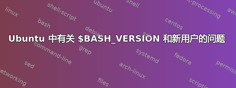 Ubuntu 中有关 $BASH_VERSION 和新用户的问题