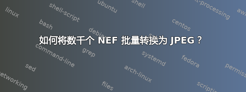 如何将数千个 NEF 批量转换为 JPEG？