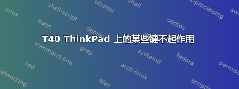 T40 ThinkPad 上的某些键不起作用