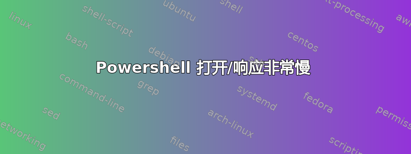 Powershell 打开/响应非常慢