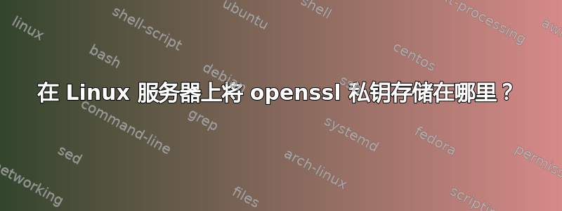 在 Linux 服务器上将 openssl 私钥存储在哪里？