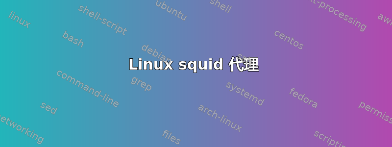 Linux squid 代理