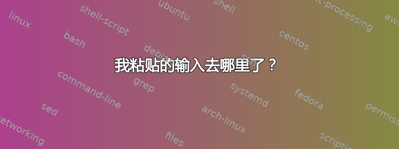 我粘贴的输入去哪里了？