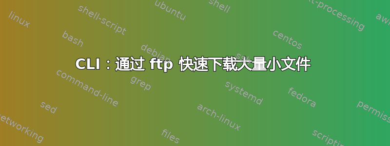 CLI：通过 ftp 快速下载大量小文件