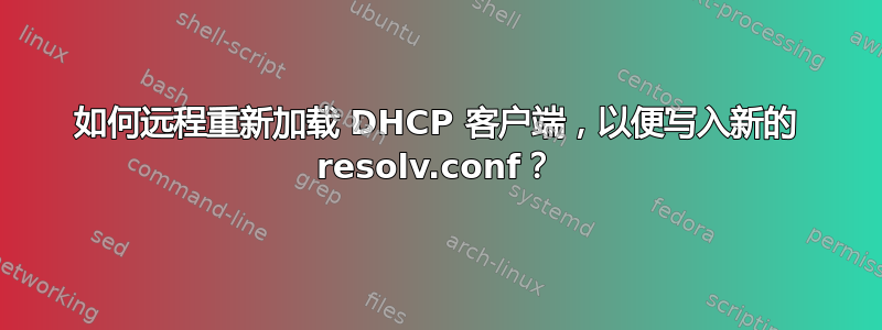 如何远程重新加载 DHCP 客户端，以便写入新的 resolv.conf？