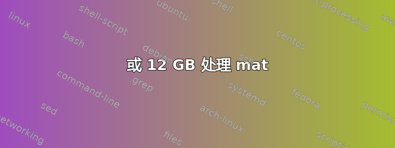 8 或 12 GB 处理 mat