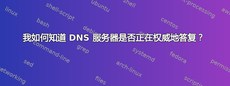 我如何知道 DNS 服务器是否正在权威地答复？