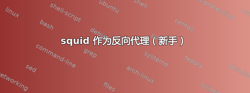 squid 作为反向代理（新手）