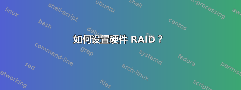 如何设置硬件 RAID？