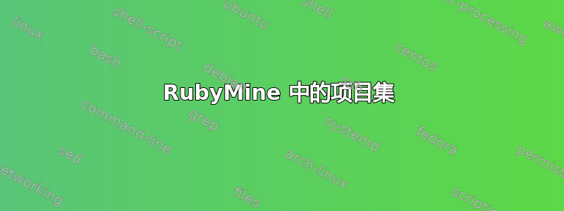 RubyMine 中的项目集