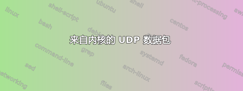 来自内核的 UDP 数据包