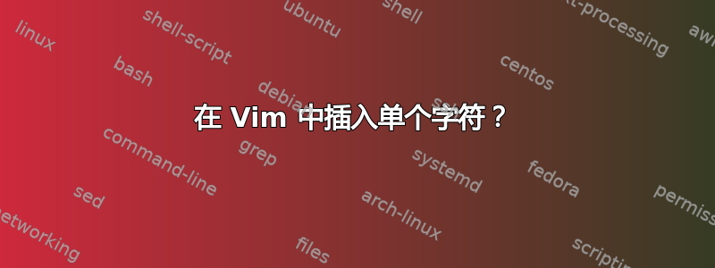 在 Vim 中插入单个字符？