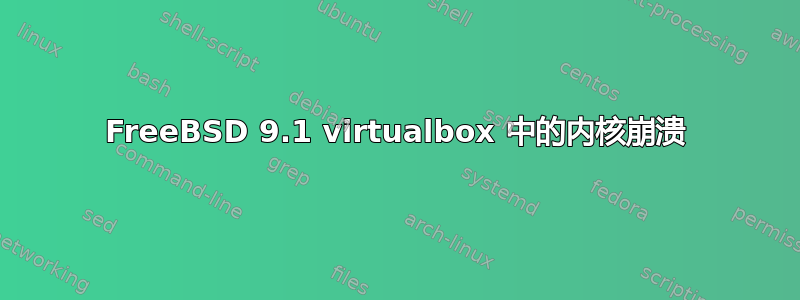 FreeBSD 9.1 virtualbox 中的内核崩溃