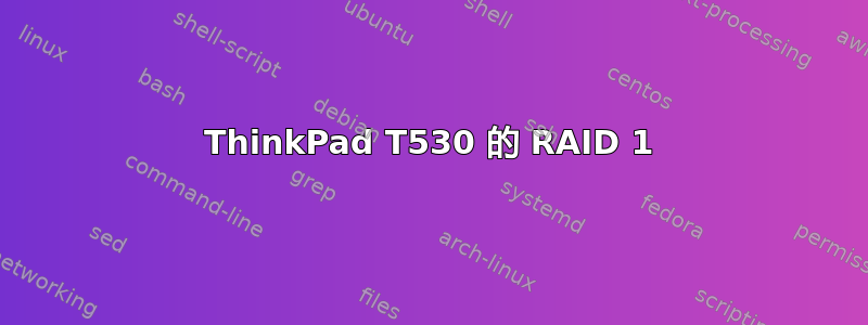 ThinkPad T530 的 RAID 1