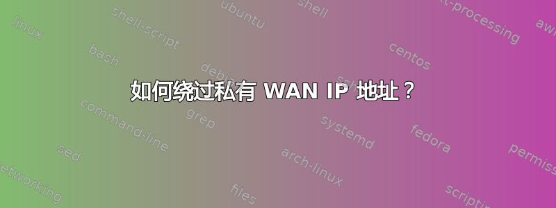 如何绕过私有 WAN IP 地址？