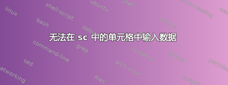 无法在 sc 中的单元格中输入数据