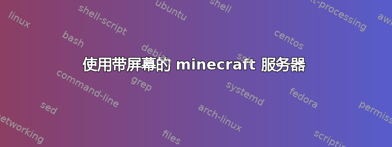 使用带屏幕的 minecraft 服务器