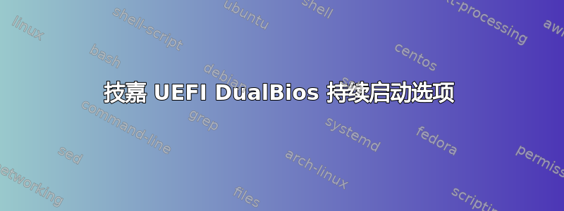 技嘉 UEFI DualBios 持续启动选项