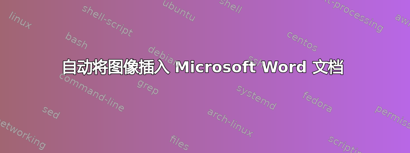 自动将图像插入 Microsoft Word 文档