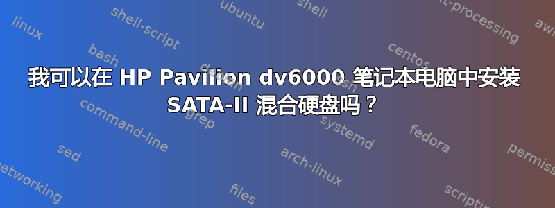 我可以在 HP Pavilion dv6000 笔记本电脑中安装 SATA-II 混合硬盘吗？