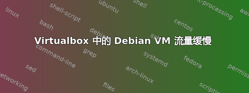 Virtualbox 中的 Debian VM 流量缓慢