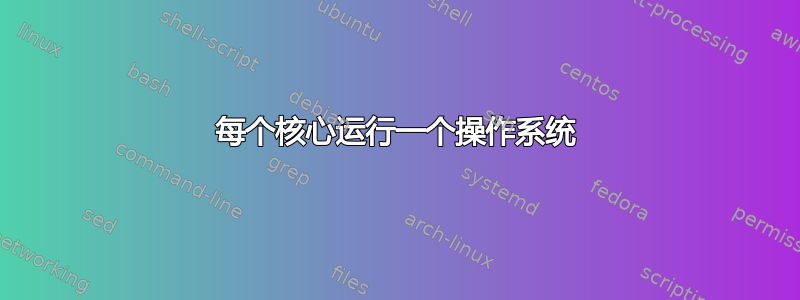 每个核心运行一个操作系统