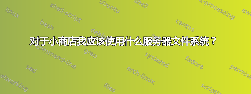 对于小商店我应该使用什么服务器文件系统？